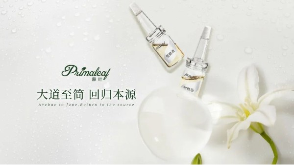 蒝叶-品牌文化
