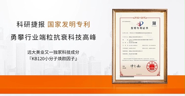 品牌宣传认证店铺背书海报banner