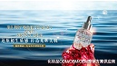 黑黄肌克星，还原初生质感，打造光辉美肌！