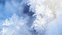 直击肌肤问题根源——自由基【远大美业新品雪颜冰晶】