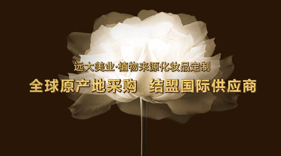 案例_看图王